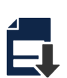 Download Document